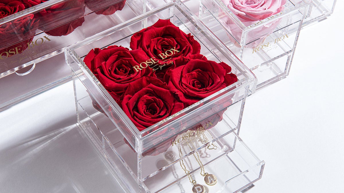 This dazzling, discounted Valentine's Day gift will bring beauty all year - News 12 Bronx