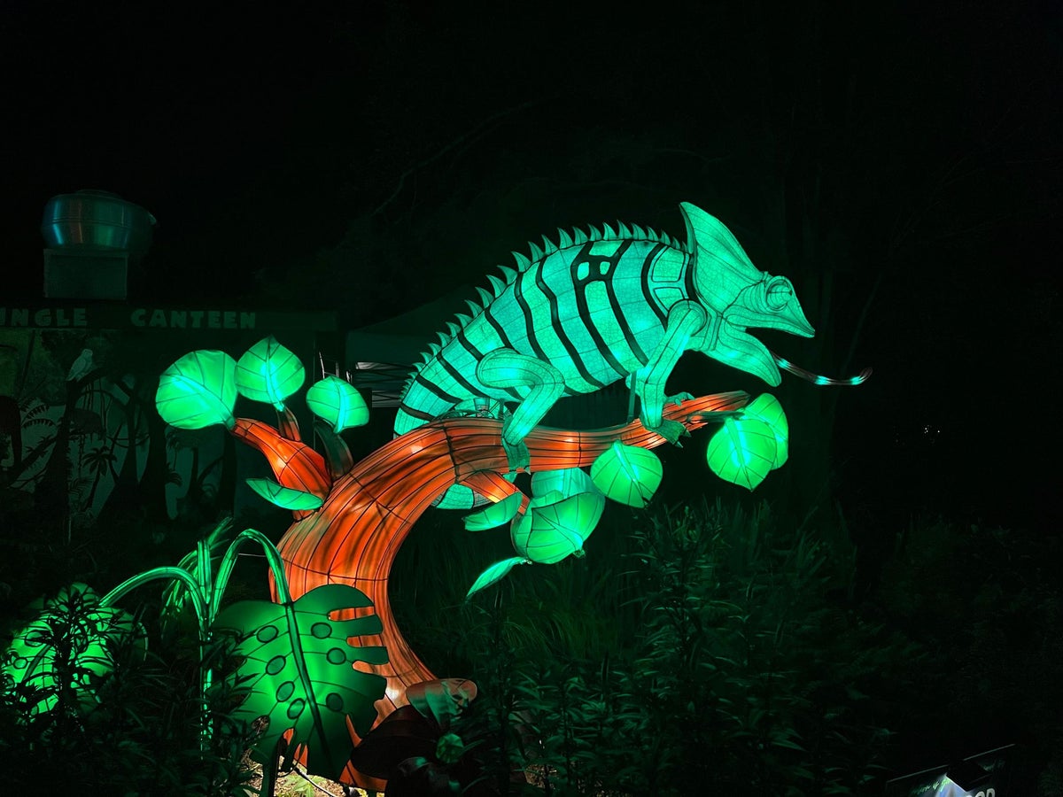 Glow Wild at Beardsley Zoo (Photo credit: Lynn Brown)