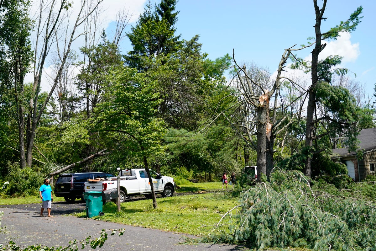 Downed trees lay amongst buildings at the Valley Road Picnic Area in the aftermath of storm in Hopewell Township, July 30, 2021. (AP Photo/Matt Rourke)