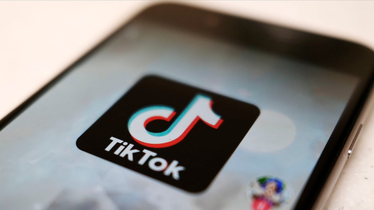 TikTok Rollercoaster Ride Continues After Federal Judge Blocks Ban on Cheddar
