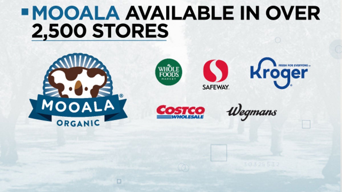 <i>Mooala retailers / Cheddar</i>