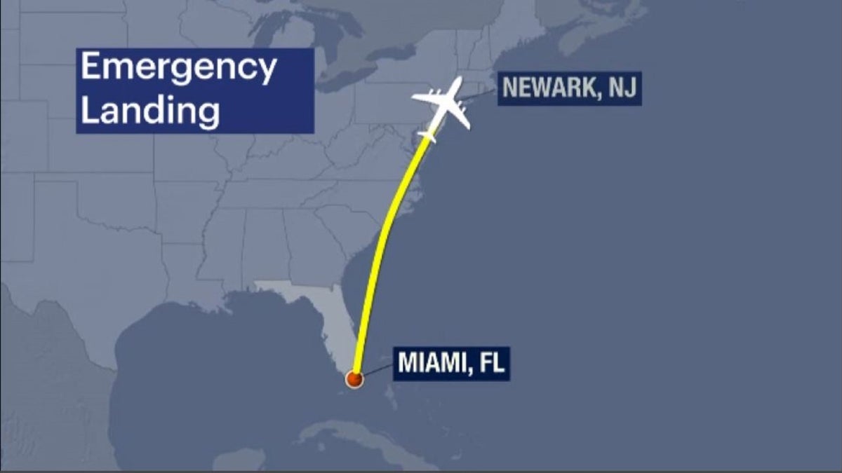 Boeing Max makes emergency landing in Newark Liberty due to engine indicator