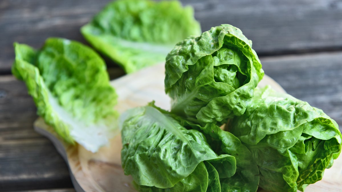 CDC Issues Major Recall of Romaine Lettuce