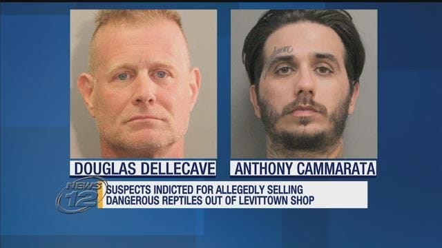 2 men indicted for allegedly selling dangerous reptiles in Levittown