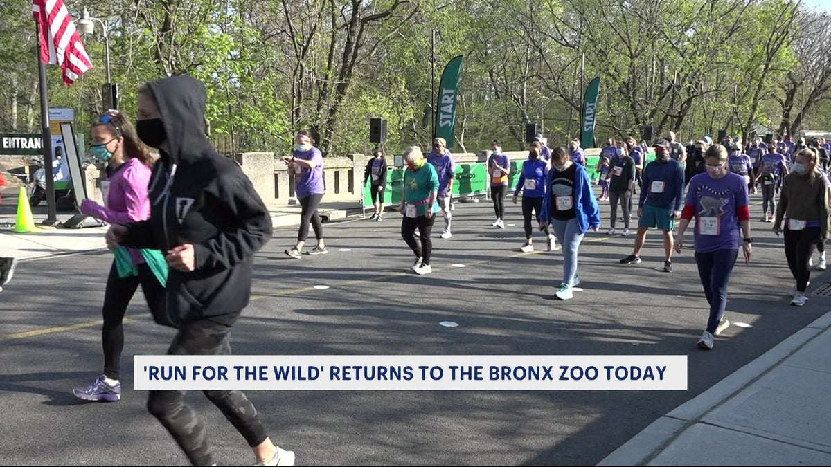 Racers return to Bronx Zoo for Run for the Wild Race for lemurs
